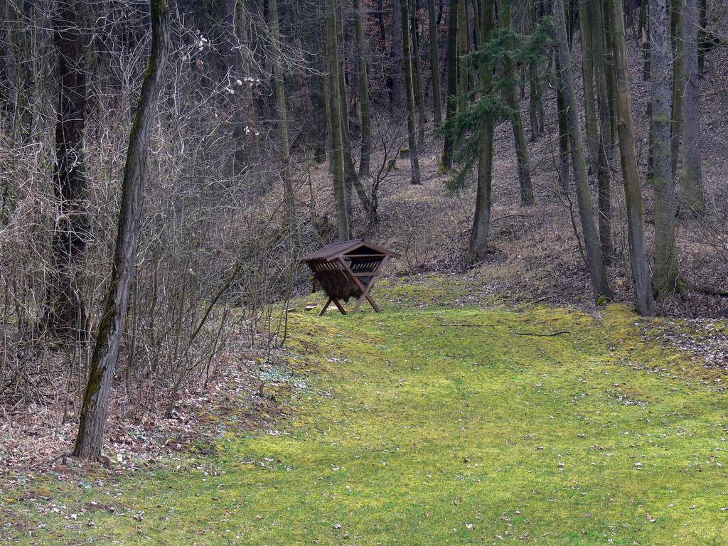 Salas-Partizánske Buitenkant foto